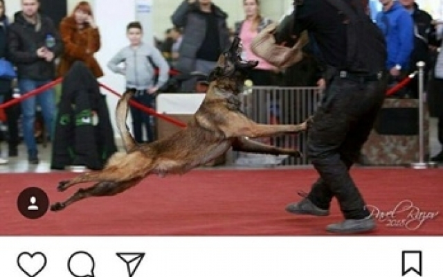 Как запорожцы проводят выходные. Фотоподборка из Instagram Фото № 0 Как запорожцы проводят выходные. Фотоподборка из Instagram Фото № 0