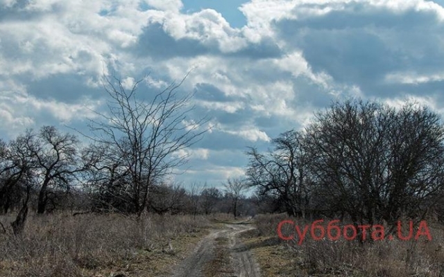 Запорожский фотограф показал красивую природу Хортицы (ФОТО) Фото № 6 Запорожский фотограф показал красивую природу Хортицы (ФОТО) Фото № 6