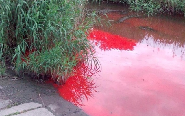 В Запорожье река окрасилась в красный цвет (ФОТО) Фото № 2 В Запорожье река окрасилась в красный цвет (ФОТО) Фото № 2
