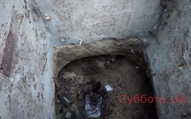 В Запорожье с глубокой яме нашли обессиленное животное (ФОТО) Фото № 1 В Запорожье с глубокой яме нашли обессиленное животное (ФОТО) Фото № 1