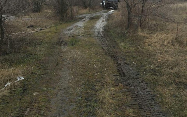 Запорожцы шокированы увиденной в лесополосе картиной (ФОТО) Фото № 2 Запорожцы шокированы увиденной в лесополосе картиной (ФОТО) Фото № 2