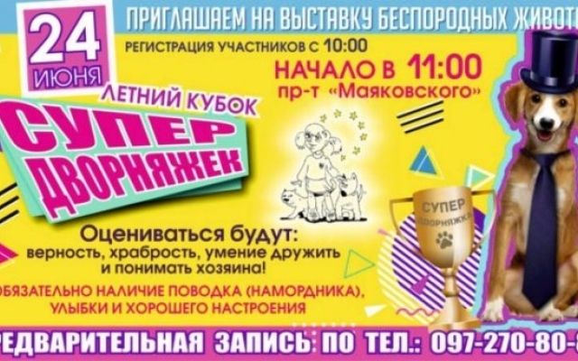 В Запорожье пройдет выставка беспородных животных (ФОТО) Фото № 0 В Запорожье пройдет выставка беспородных животных (ФОТО) Фото № 0