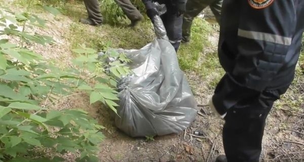 В сети показали видео, как из оврага доставали разложившийся труп (ВИДЕО 18+) Фото № 0 В сети показали видео, как из оврага доставали разложившийся труп (ВИДЕО 18+) Фото № 0