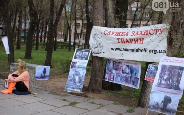 Сегодня в Запорожье прошел необычный митинг Фото № 14 Сегодня в Запорожье прошел необычный митинг Фото № 14