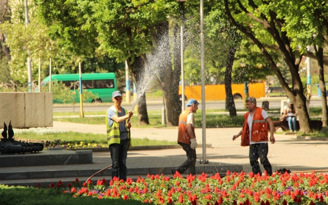 Фотофакт: В центре города появится огромный мак Фото № 0 Фотофакт: В центре города появится огромный мак Фото № 0