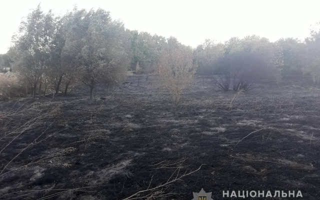 В Запорожской области задержали поджигателя (ФОТО) Фото № 1 В Запорожской области задержали поджигателя (ФОТО) Фото № 1