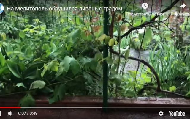На Запорожскую область обрушилась стихия (ВИДЕО) Фото № 0