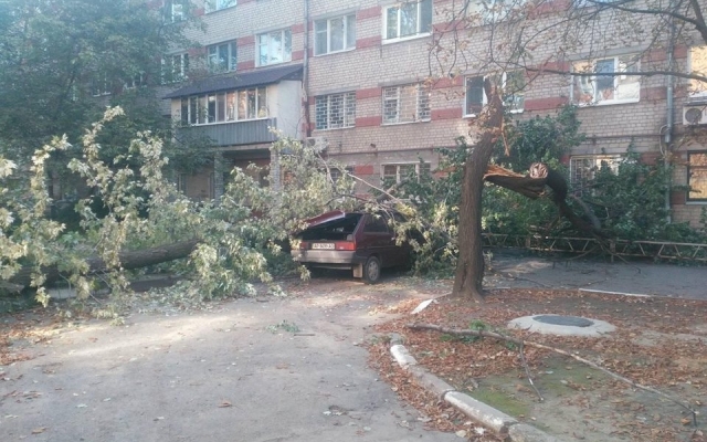 В Запорожье на автомобиль рухнуло дерево (ФОТО) Фото № 0 В Запорожье на автомобиль рухнуло дерево (ФОТО) Фото № 0