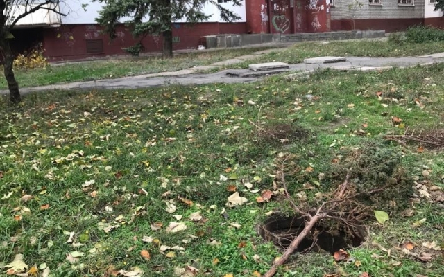 В Запорожье огромный пёс провалился в канализацию (ФОТО) Фото № 1 В Запорожье огромный пёс провалился в канализацию (ФОТО) Фото № 1