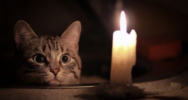 В некоторых районах Запорожской области отключили свет Фото № 0 В некоторых районах Запорожской области отключили свет Фото № 0