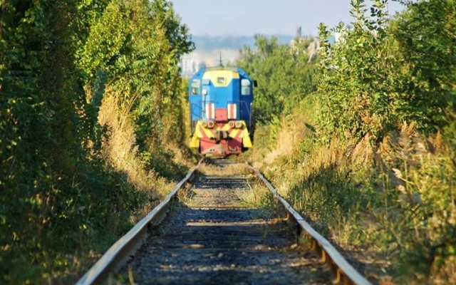 Бабурка удивила запорожцев тоннелем любви (ФОТО) Фото № 1 Бабурка удивила запорожцев тоннелем любви (ФОТО) Фото № 1