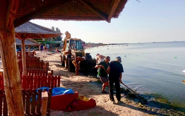 На запорожском курорте снова борются с водорослями (ФОТО) Фото № 2 На запорожском курорте снова борются с водорослями (ФОТО) Фото № 2