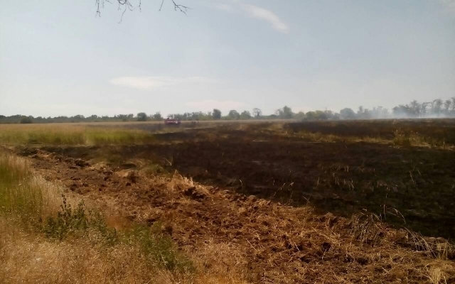 В Запорожье масштабный пожар охватил Хортицу (ФОТО) Фото № 0 В Запорожье масштабный пожар охватил Хортицу (ФОТО) Фото № 0
