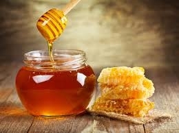 В Запорожье проходит фестиваль пчеловодов Фото № 0 В Запорожье проходит фестиваль пчеловодов Фото № 0