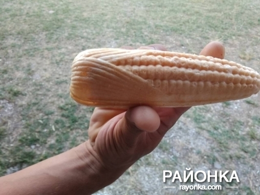 Фотофакт: На курорте отдыхающим предлагают необычное лакомство Фото № 1 Фотофакт: На курорте отдыхающим предлагают необычное лакомство Фото № 1