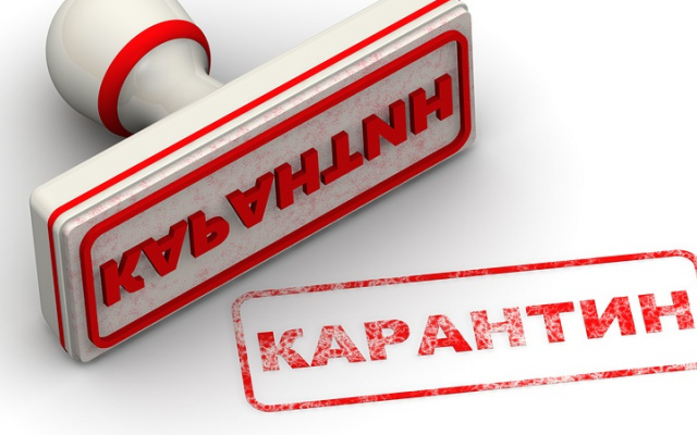В Запорожской области снят карантин, введенный в связи с инфекцией Фото № 0 В Запорожской области снят карантин, введенный в связи с инфекцией Фото № 0
