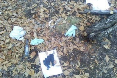 Грибники нашли тело женщины, объявленной в розыск Фото № 0 Грибники нашли тело женщины, объявленной в розыск Фото № 0