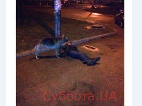В Запорожье овчарка охраняла лежащего в беспамятстве посреди улицы хозяина (ФОТО) Фото № 0 В Запорожье овчарка охраняла лежащего в беспамятстве посреди улицы хозяина (ФОТО) Фото № 0