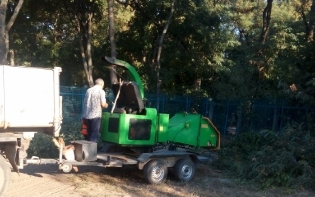 Стало известно, зачем в городском парке сносят деревья Фото № 2 Стало известно, зачем в городском парке сносят деревья Фото № 2