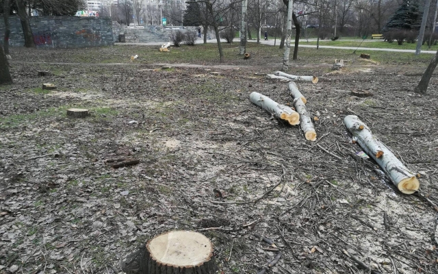 В Запорожском парке массово вырубают здоровые деревья. ФОТО Фото № 7 В Запорожском парке массово вырубают здоровые деревья. ФОТО Фото № 7