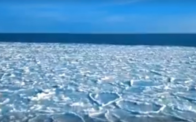 В сети опубликовали завораживающее видео с запорожского курорта Фото № 0 В сети опубликовали завораживающее видео с запорожского курорта Фото № 0
