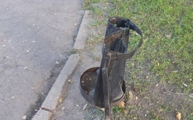В запорожском парке В запорожском парке