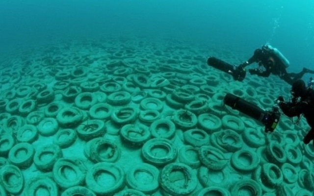 Азовское море в опасности: В Бердянске в воду сбрасывают шины (ФОТО) Фото № 2 Азовское море в опасности: В Бердянске в воду сбрасывают шины (ФОТО) Фото № 2