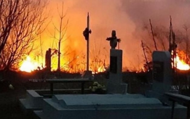 Под Запорожьем пылало кладбище: Пострадала женщина Фото № 0 Под Запорожьем пылало кладбище: Пострадала женщина Фото № 0