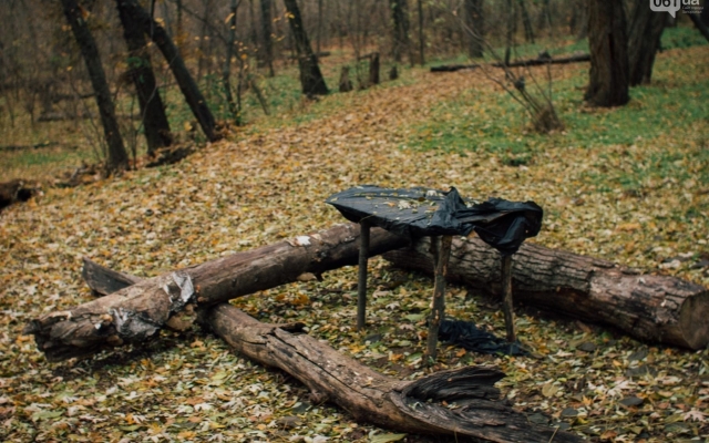 В сети опубликовали завораживающие фото осенней Хортицы Фото № 4 В сети опубликовали завораживающие фото осенней Хортицы Фото № 4