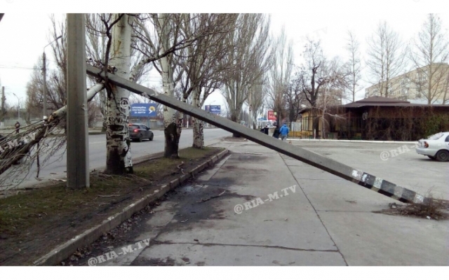 В Запорожской области столб повис на ветках над головами людей (ФОТО) Фото № 3 В Запорожской области столб повис на ветках над головами людей (ФОТО) Фото № 3