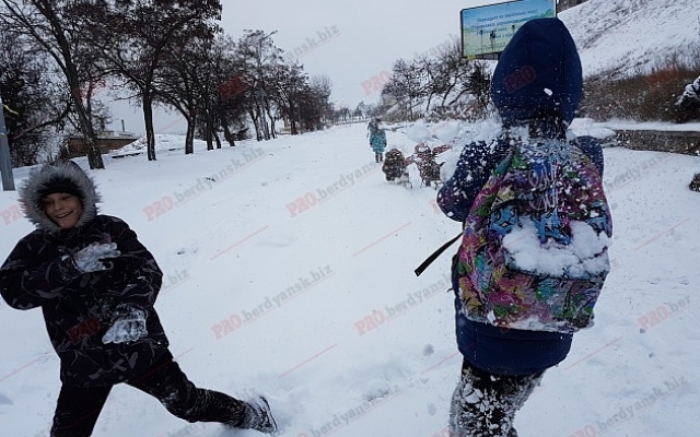 Горожане занялись странным спортом прямо на улице (ВИДЕО) Фото № 1 Горожане занялись странным спортом прямо на улице (ВИДЕО) Фото № 1