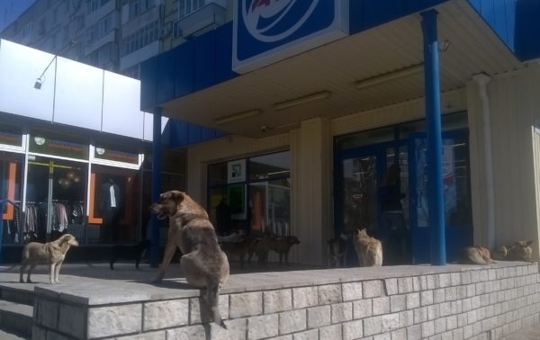 АТБ на Бородинском опасен Фото № 1 АТБ на Бородинском опасен Фото № 1