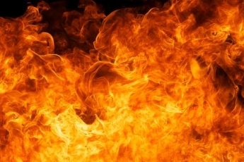 Под Мелитополем погиб сорокалетний мужчина Фото № 0 Под Мелитополем погиб сорокалетний мужчина Фото № 0