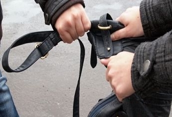 В Запорожье неизвестный напал на девушку Фото № 0 В Запорожье неизвестный напал на девушку Фото № 0