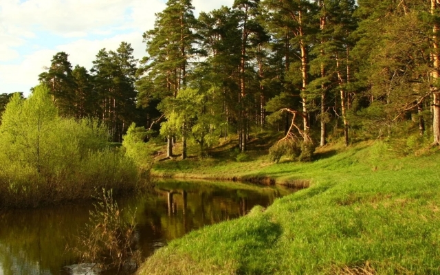 В Запорожской области стол охотников сдали на металлолом Фото № 0 В Запорожской области стол охотников сдали на металлолом Фото № 0