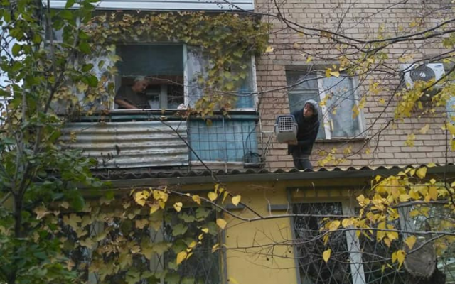 В Запорожской области девушки, рискуя жизнью, спасли котенка (ФОТО) Фото № 1 В Запорожской области девушки, рискуя жизнью, спасли котенка (ФОТО) Фото № 1
