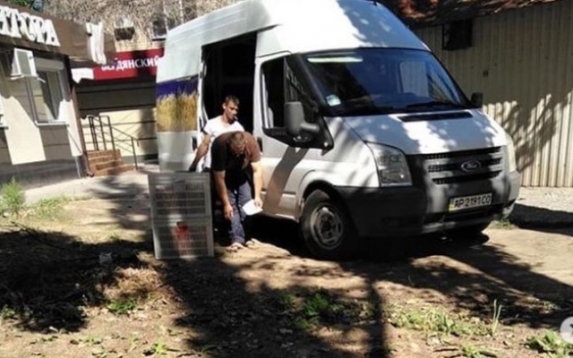 В магазин доставили булочки, которые валялись на земле в грязи (ВИДЕО) Фото № 0 В магазин доставили булочки, которые валялись на земле в грязи (ВИДЕО) Фото № 0