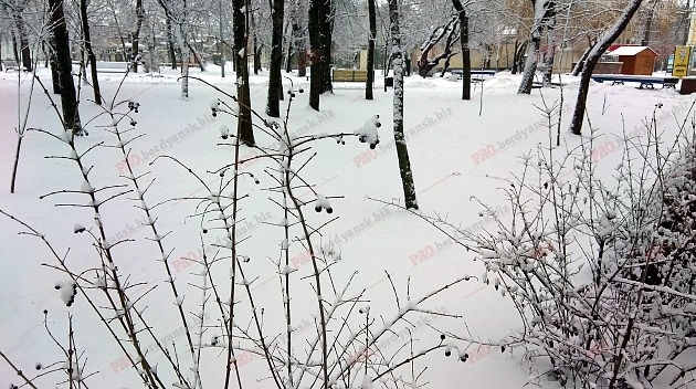 В сети показали удивительную зиму в городском парке (ФОТО) Фото № 1 В сети показали удивительную зиму в городском парке (ФОТО) Фото № 1