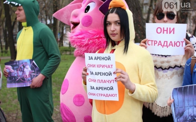 Сегодня в Запорожье прошел необычный митинг Фото № 16 Сегодня в Запорожье прошел необычный митинг Фото № 16