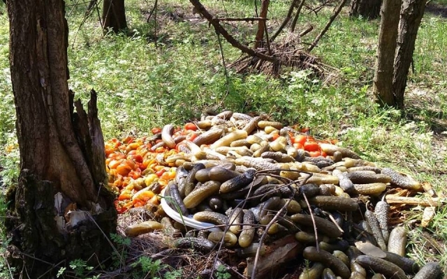 Запорожцы шокированы увиденной на Великом Лугу картиной (ФОТО) Фото № 1 Запорожцы шокированы увиденной на Великом Лугу картиной (ФОТО) Фото № 1