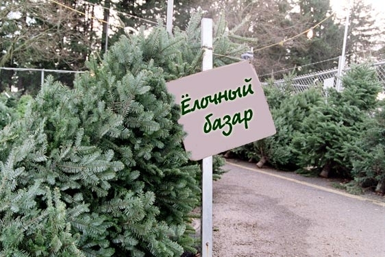 Новый год не за горами: В Запорожье начали подготовку к главному празднику Фото № 0 Новый год не за горами: В Запорожье начали подготовку к главному празднику Фото № 0