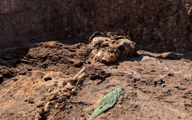 Под Запорожьем археологи нашли скелет из бронзового века (ФОТО) Фото № 3 Под Запорожьем археологи нашли скелет из бронзового века (ФОТО) Фото № 3
