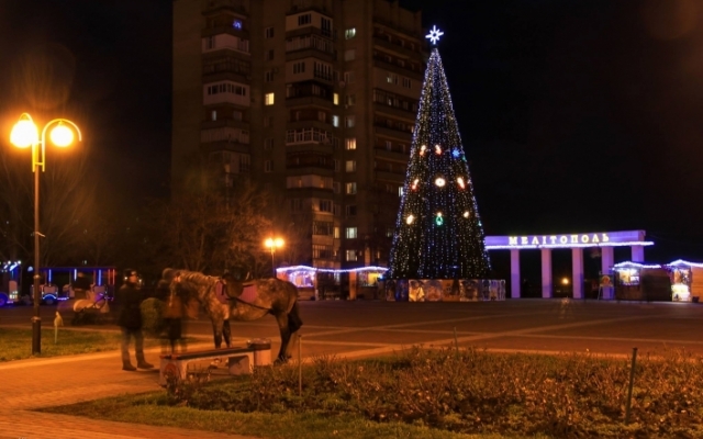 Мелитополь в новогодний вечер удивляет красотой (ФОТО) Фото № 13 Мелитополь в новогодний вечер удивляет красотой (ФОТО) Фото № 13
