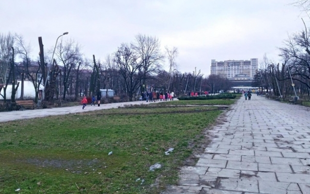 Строительство ТРЦ в парке Яланского: Заявление компании Строительство ТРЦ в парке Яланского: Заявление компании