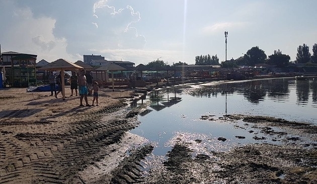 Запорожский курорт продолжают заполнять водоросли (ФОТО) Фото № 1 Запорожский курорт продолжают заполнять водоросли (ФОТО) Фото № 1