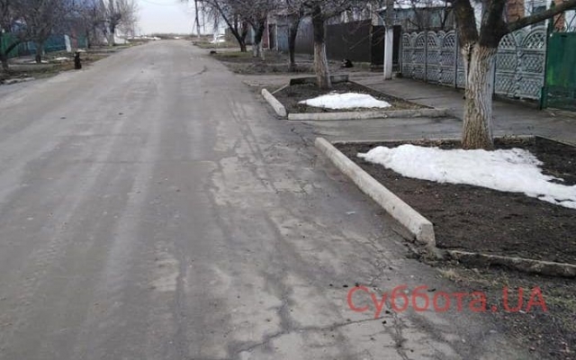 Жители Запорожья боятся бродячих собак Фото № 0 Жители Запорожья боятся бродячих собак Фото № 0