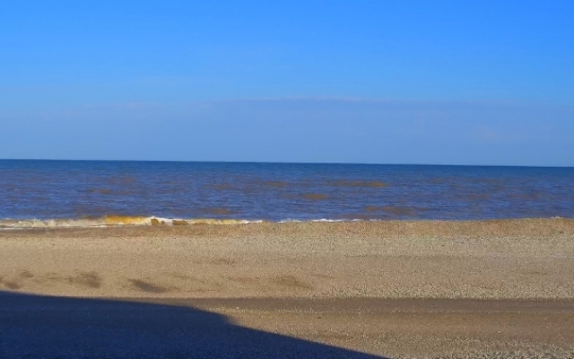 Море штормило несколько дней: теперь вода приобрела необычный оттенок (ФОТО) Фото № 1 Море штормило несколько дней: теперь вода приобрела необычный оттенок (ФОТО) Фото № 1