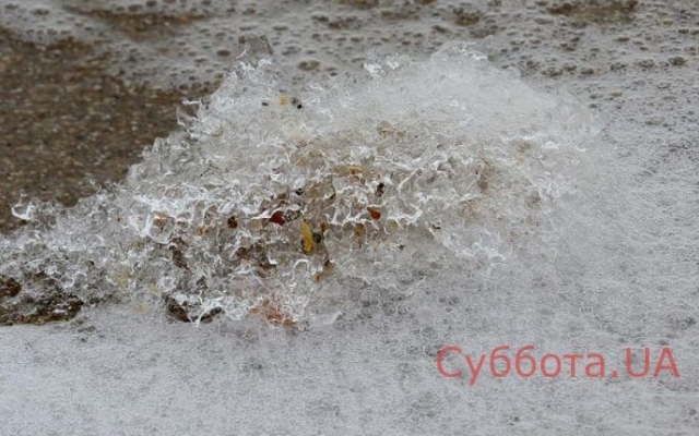 Сказочные снимки запорожского курорта (ФОТО) Фото № 2 Сказочные снимки запорожского курорта (ФОТО) Фото № 2