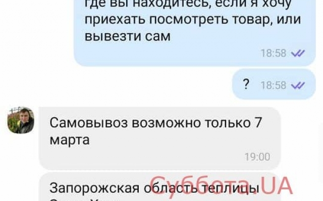 В Запорожье орудуют В Запорожье орудуют