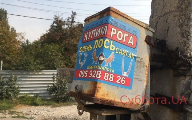 Курьезы: В Запорожье расклеили странные объявления (ФОТО) Фото № 2 Курьезы: В Запорожье расклеили странные объявления (ФОТО) Фото № 2